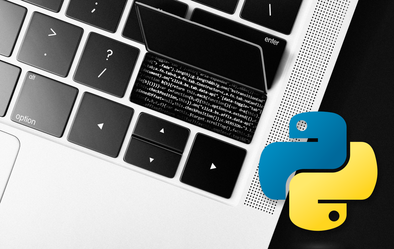 Curso gratuito ensina a programar em Python usando o clássico