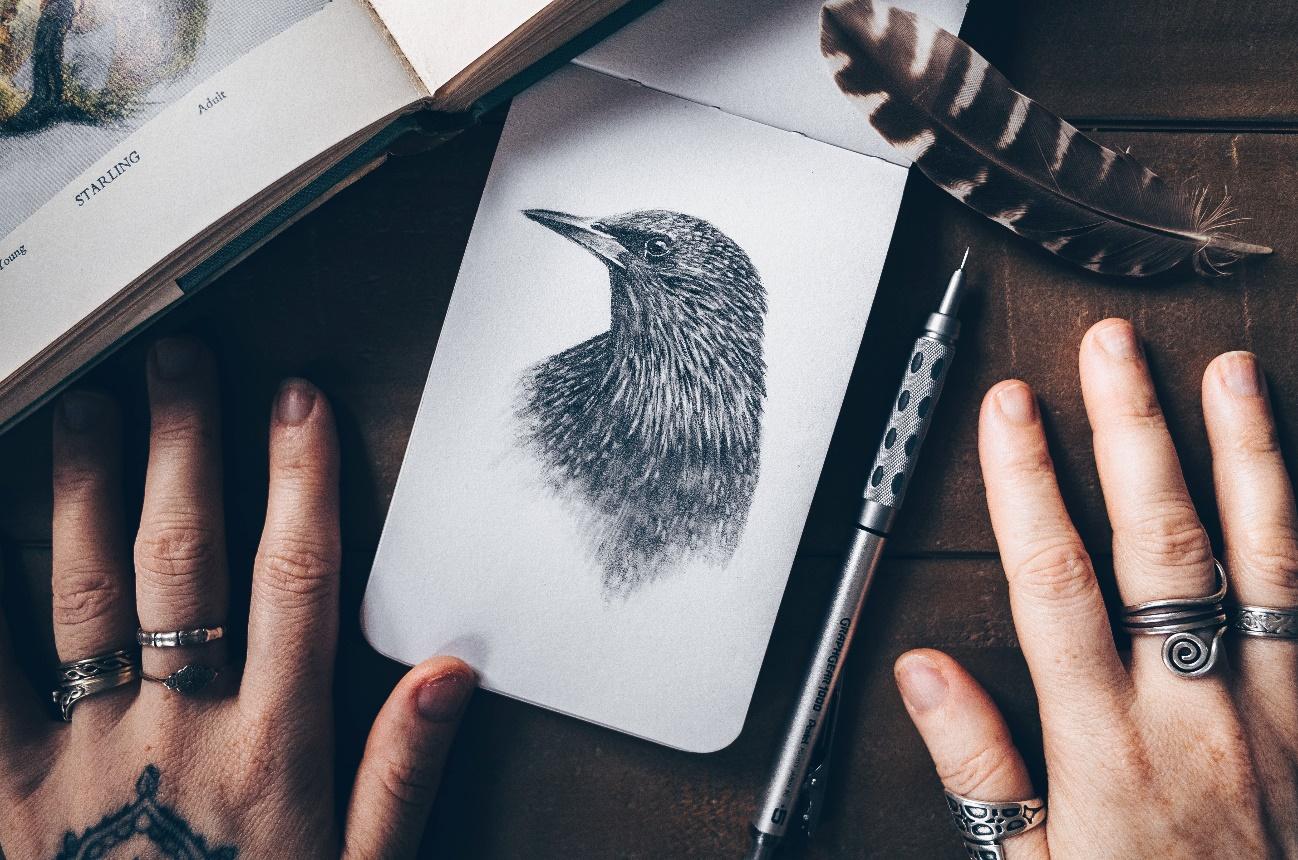 Técnicas de ilustração: quais estilos são relevantes no design e como ...