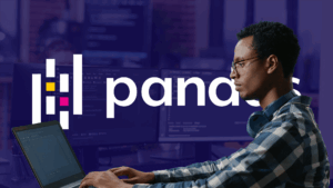 pandas em python: o que é, suas funções e... Pandas em Python: O que é, suas funções e vantagens, como utilizar a ...